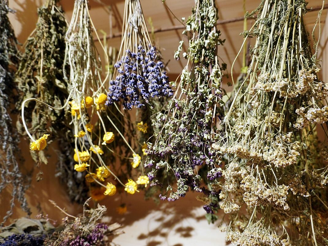 Kräuter und Gewürze