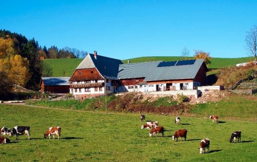 Der Hintere Mooshof heute