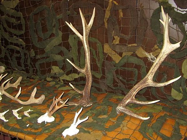 ausstellung rathaus 3