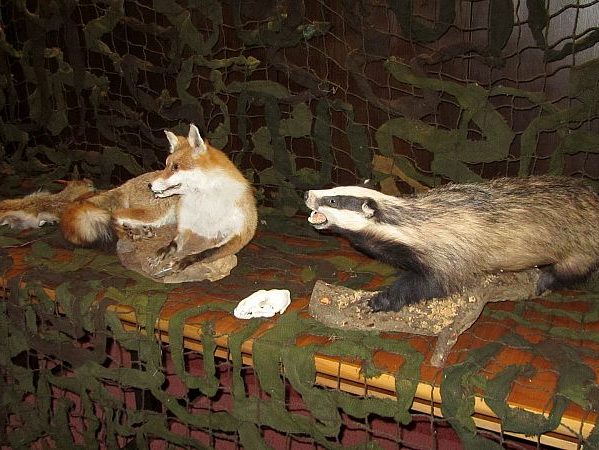 ausstellung rathaus 4