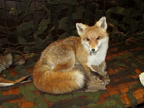 ausstellung rathaus 5