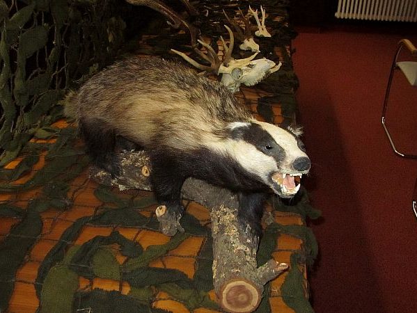 ausstellung rathaus 6