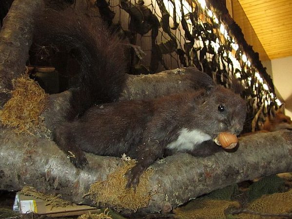 ausstellung rathaus 7