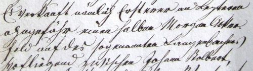 Grundbucheintrag Langenbacherhof