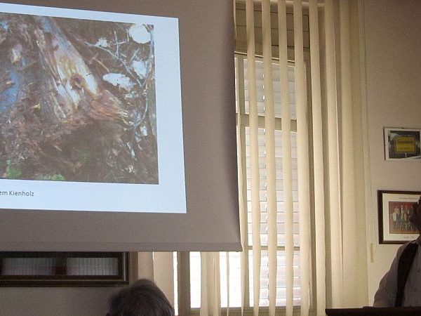 vortrag fritz woehrle