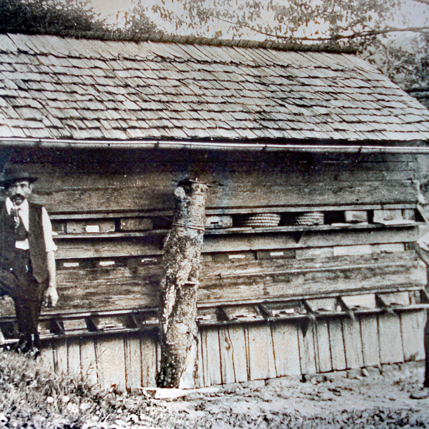 Bienenzuechter Andreas Weisser und Christian Oehl A1