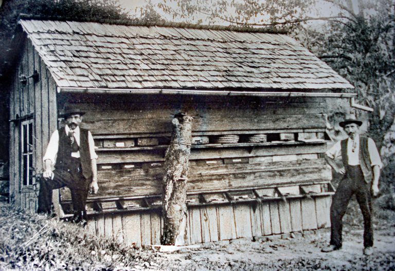 Bienenzuechter Andreas Weisser und Christian Oehl A1