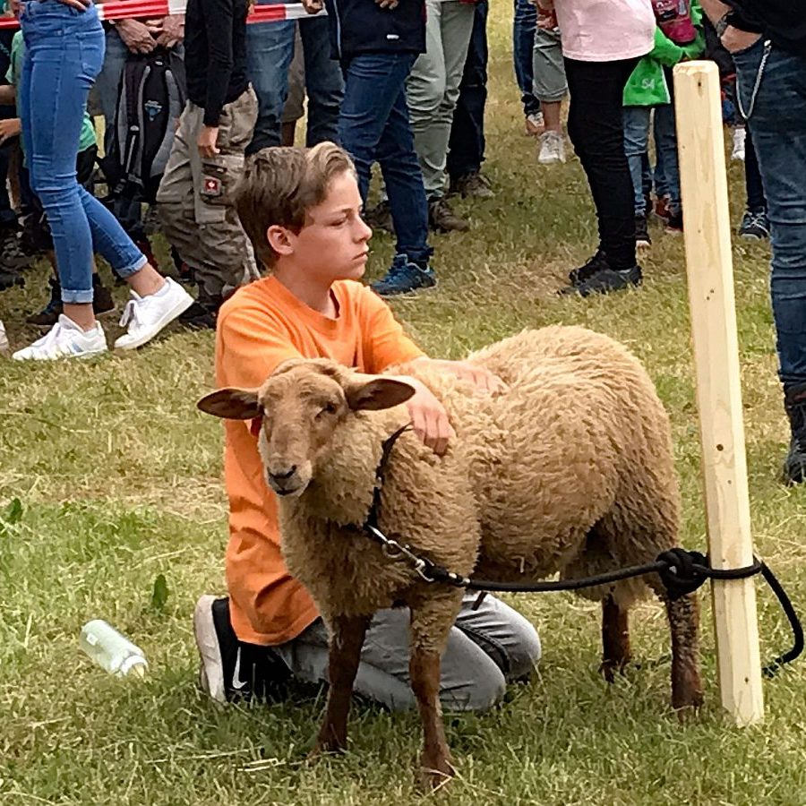 Hammellauf Waldfest Unterschiltach 1