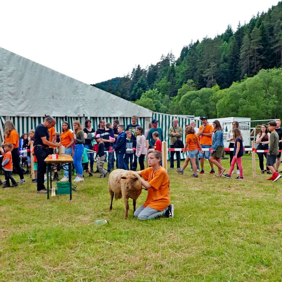 Hammellauf Waldfest Unterschiltach 2