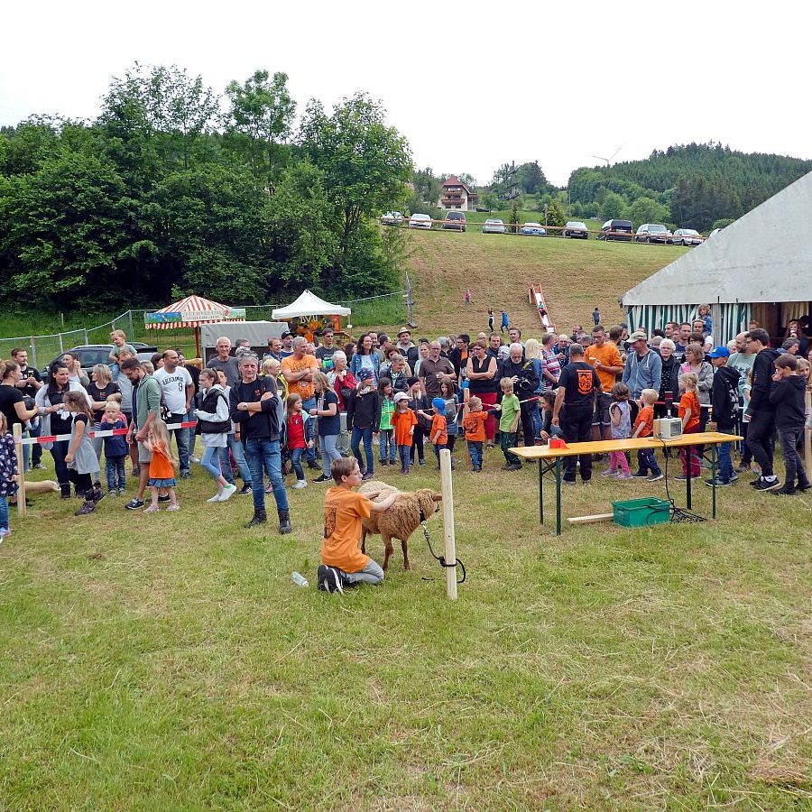 Hammellauf Waldfest Unterschiltach 6