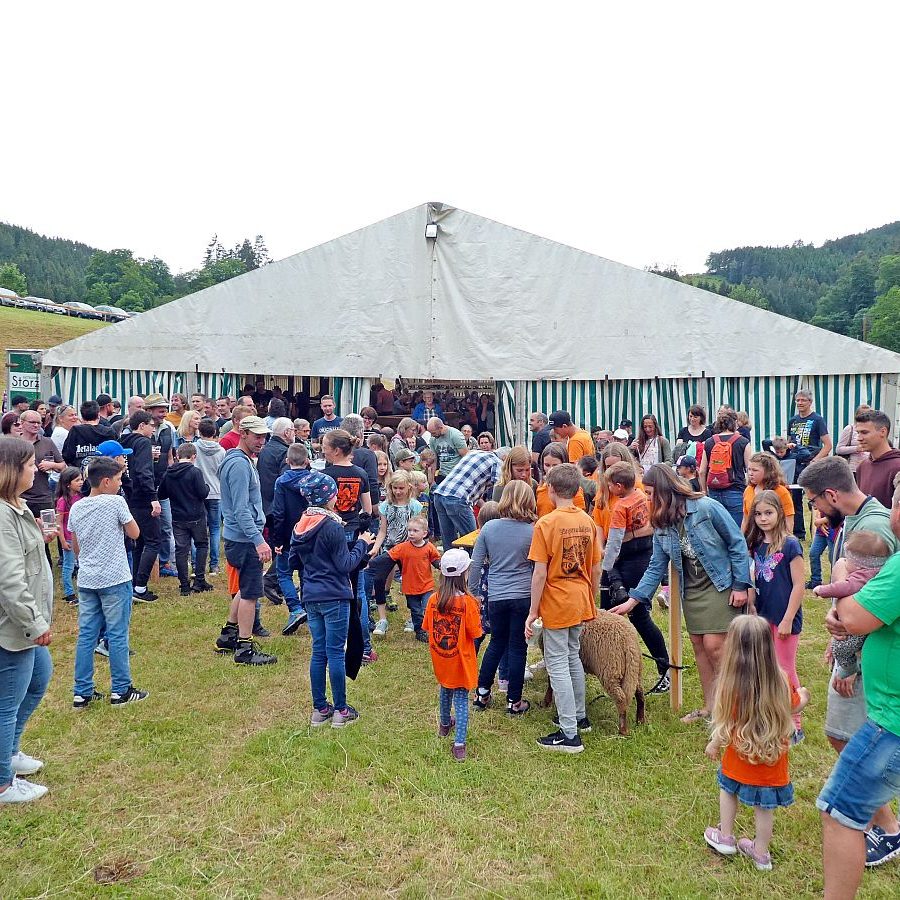 Hammellauf Waldfest Unterschiltach 8