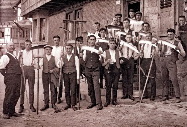 Heuernte beim Loewenwirt in Tennenbronn 3 Heuernte beim Loewenwirt in Tennenbronn 3