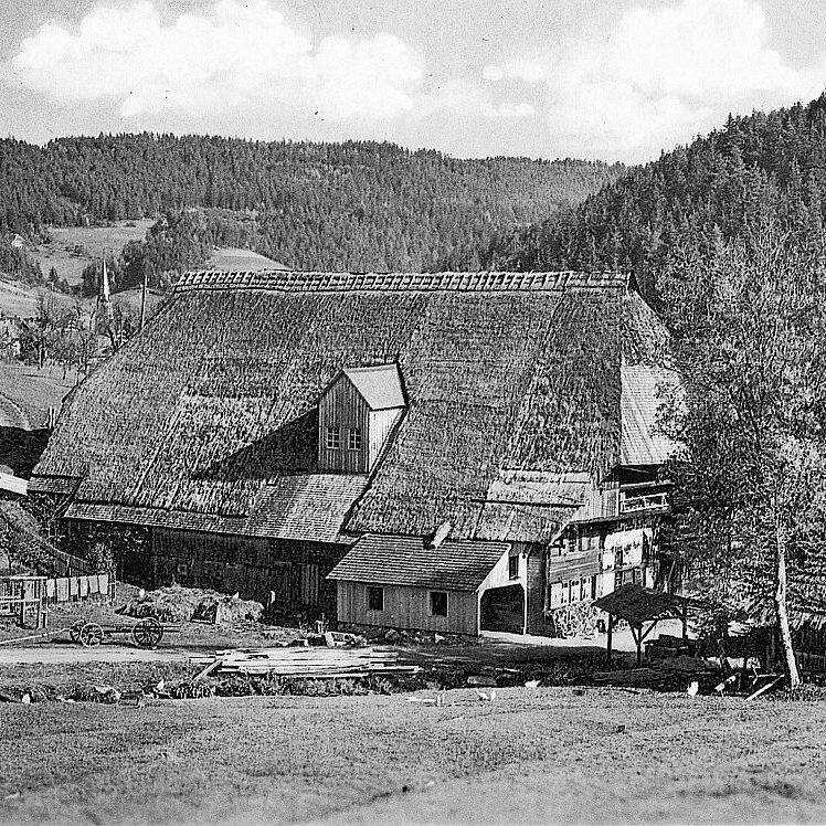 Der Bapistenhof in Tennenbronn 06