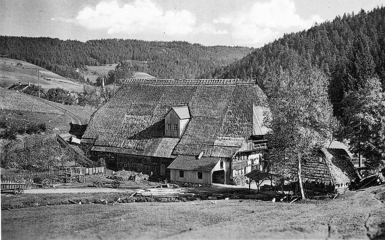 Der Bapistenhof in Tennenbronn 06