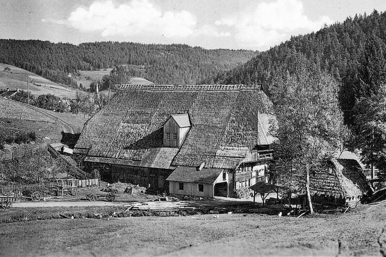 Der Bapistenhof in Tennenbronn 06