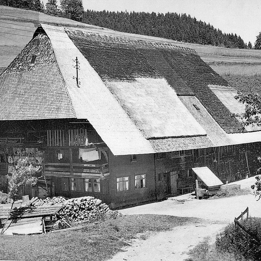 Der Bapistenhof in Tennenbronn 07