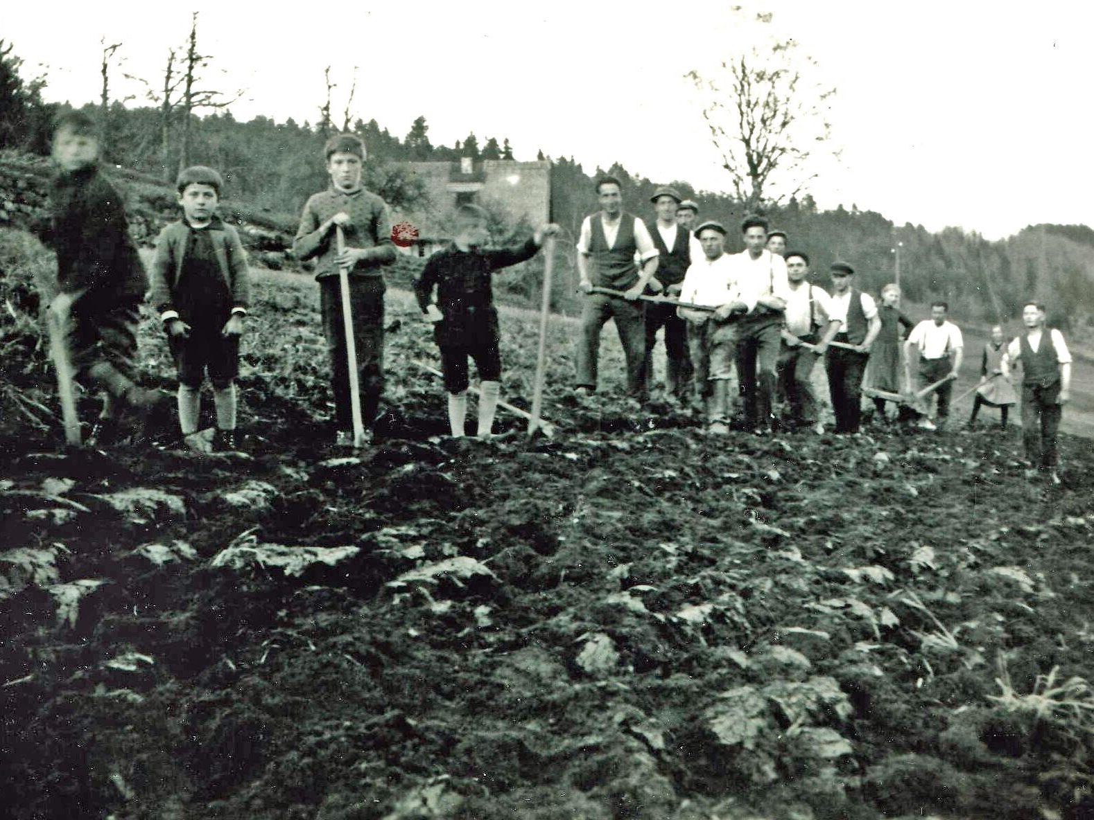 Acker umpfluegen bim Wieble Eichbach A2