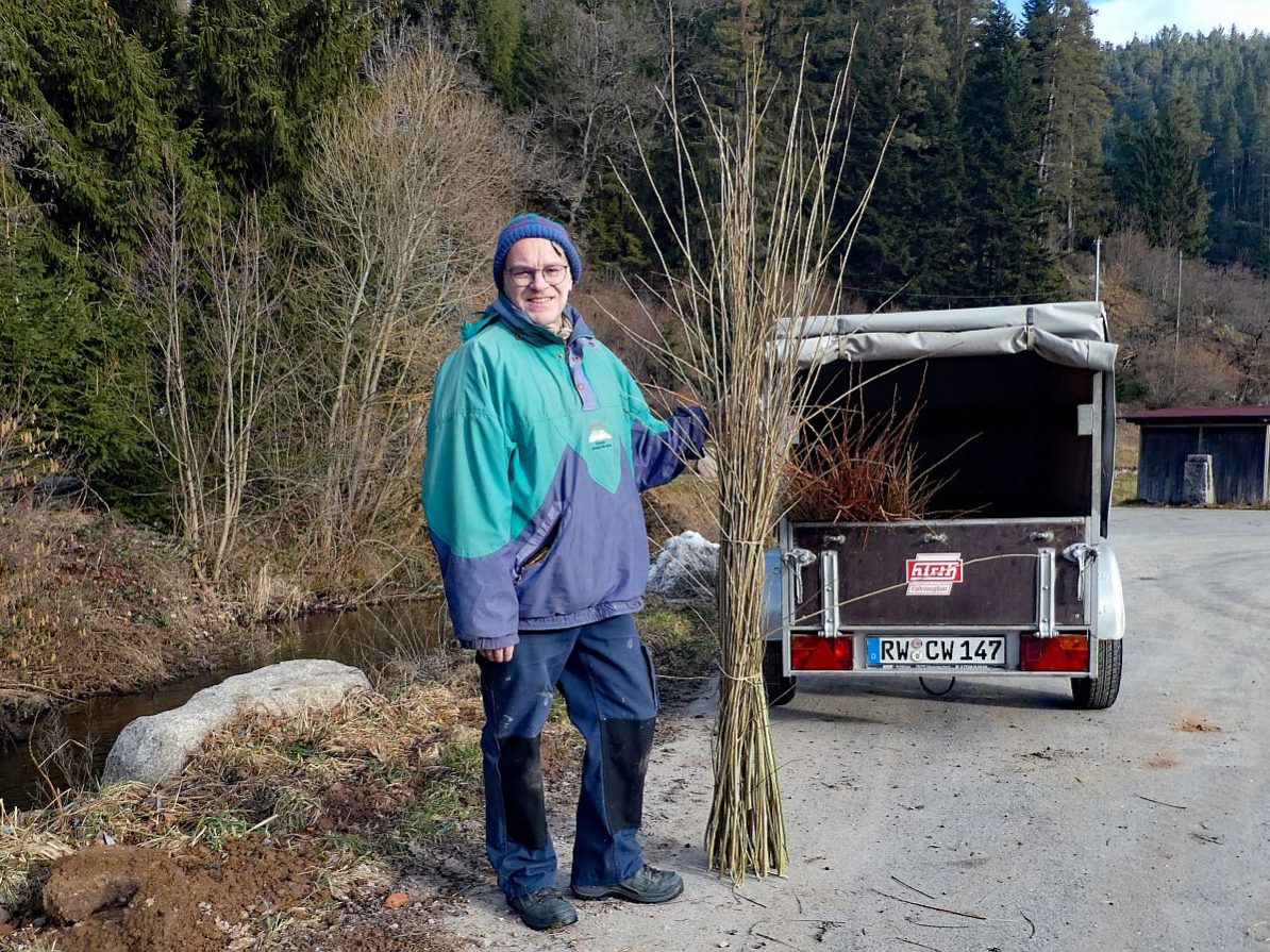 Heimathaus Tennenbronn Weiden schneiden 2