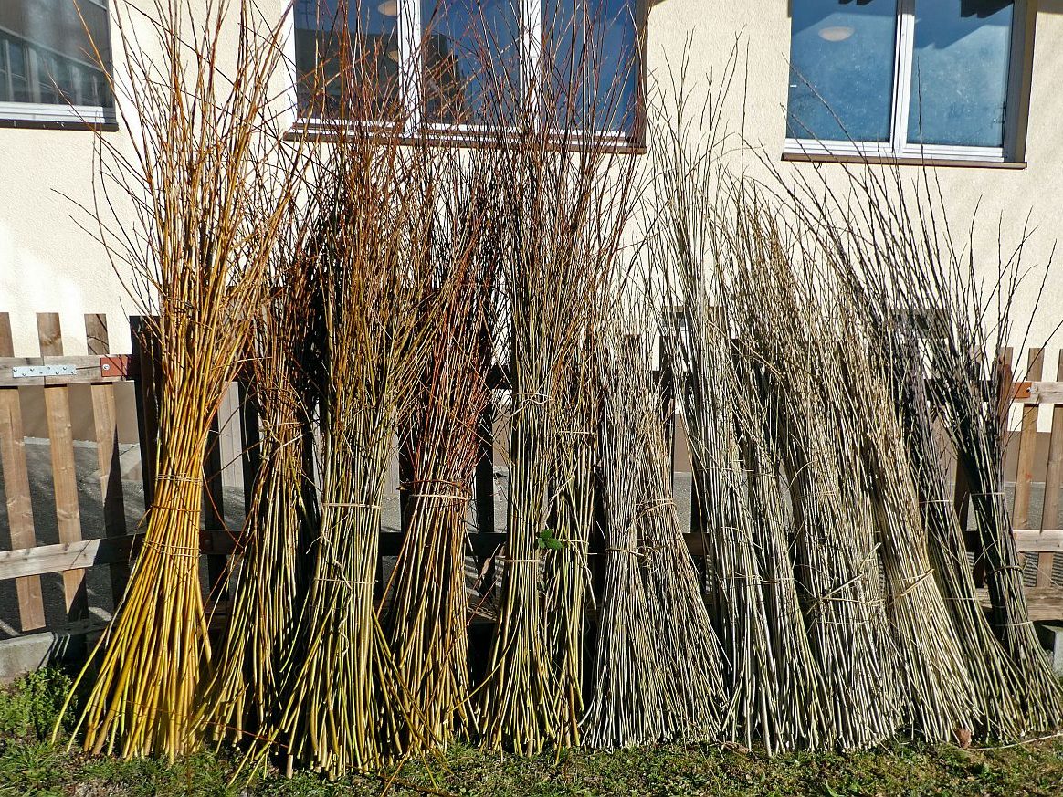 Heimathaus Tennenbronn Weiden schneiden 4