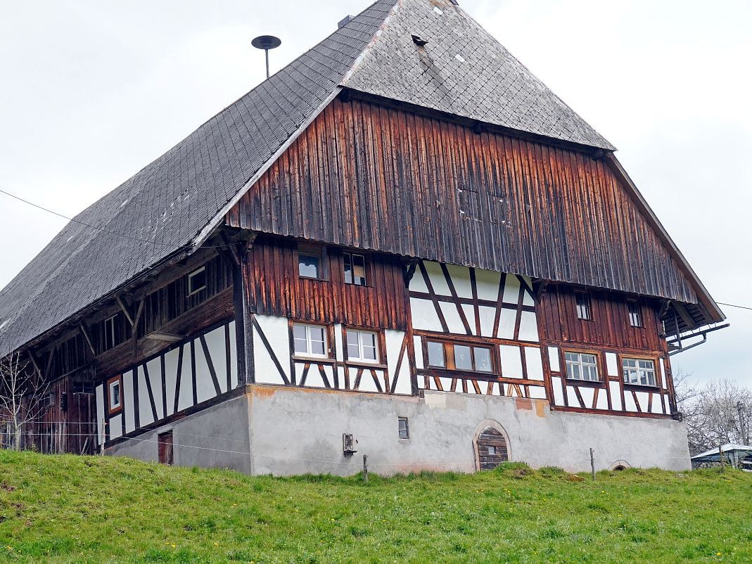 2023 04 30 Höfewanderung Eichbach Falken 17