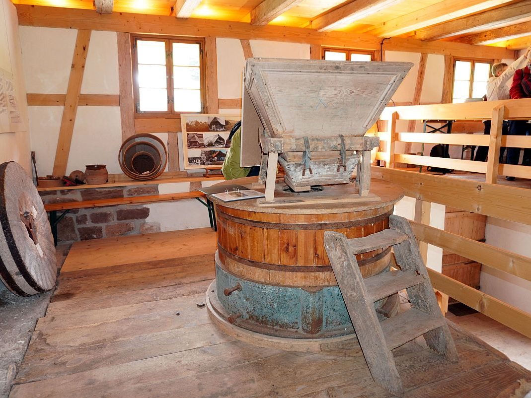 2023 04 30 Höfewanderung Eichbach Falken 43