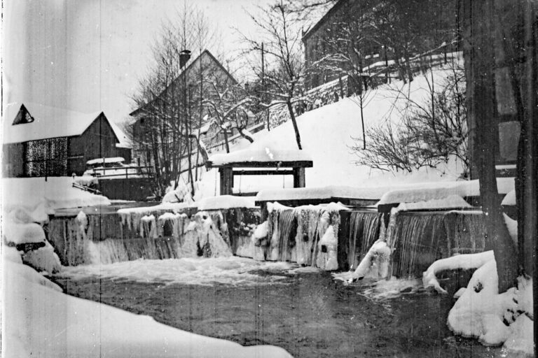 D 109 SE2 GP169 Stellfalle unter alter Löwensäge A4