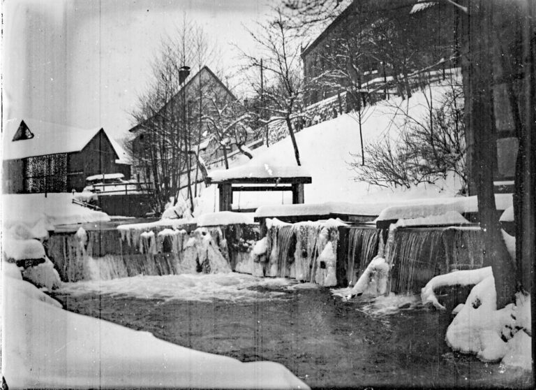 D 109 SE2 GP169 Stellfalle unter alter Löwensäge A4