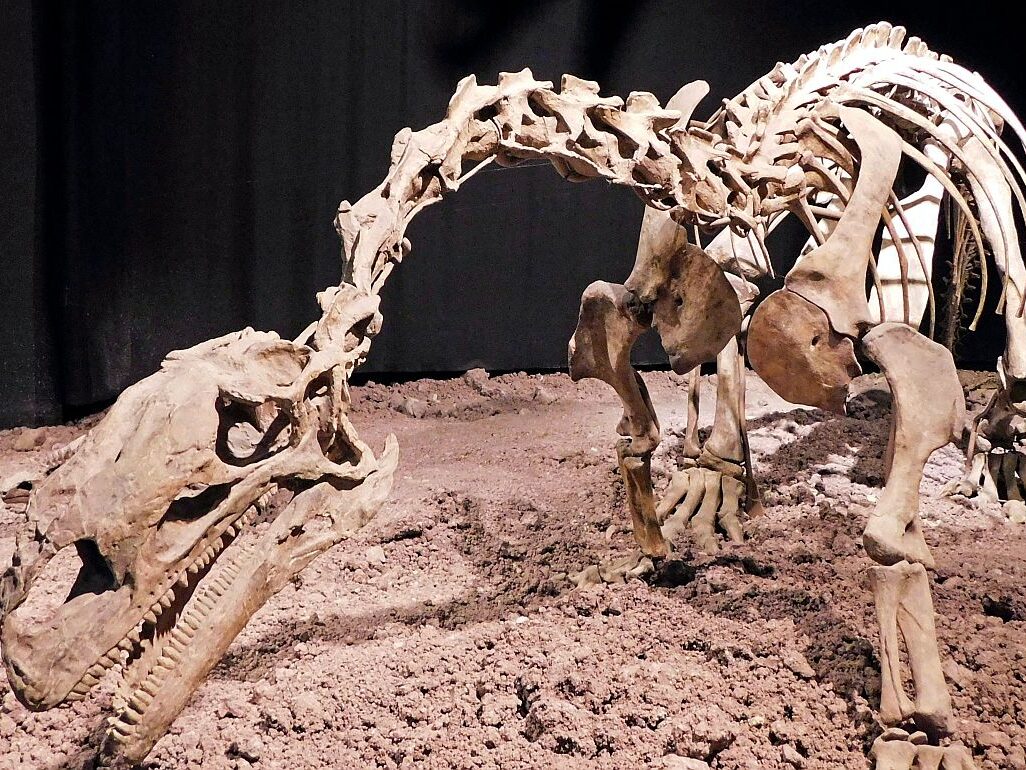 Heimathausgruppe Tennenbronn im Auberlehaus 03