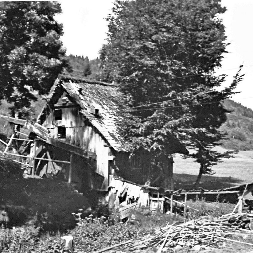 Mühlen in Tennenbronn 05