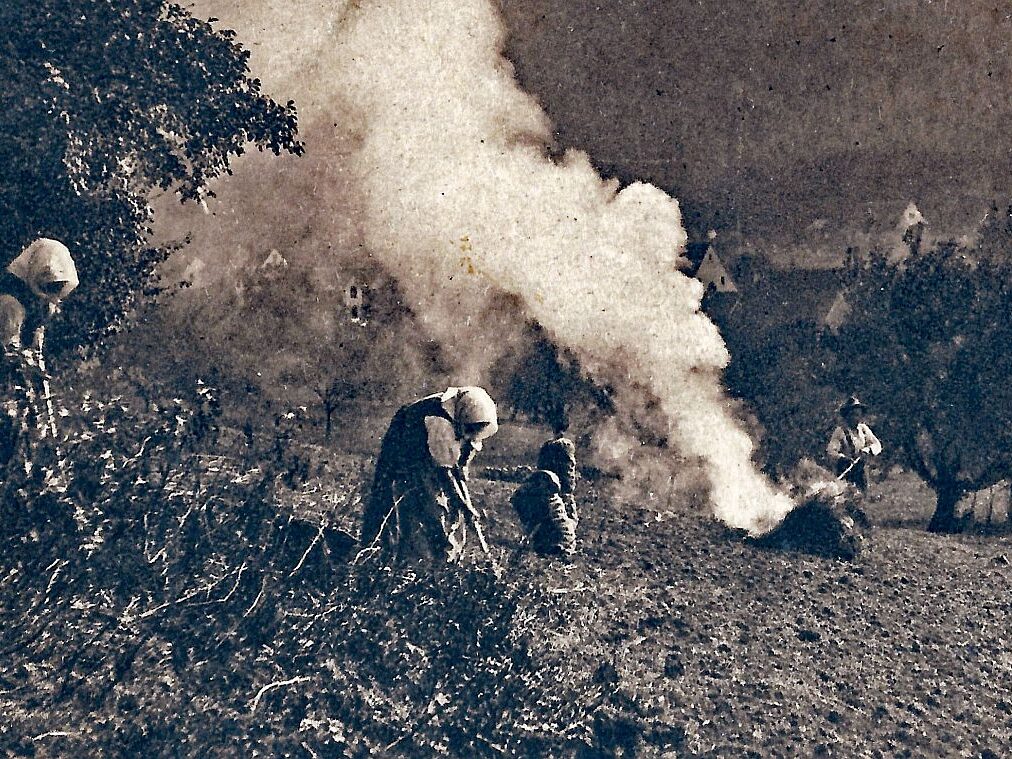 Erntetag Kartoffeln 1