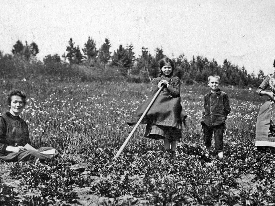 Erntetag Kartoffeln 2