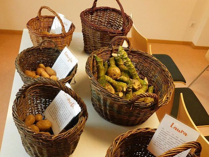 Erntetag im Heimathaus 09