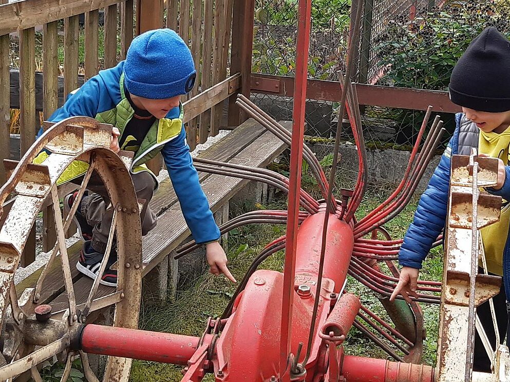 Erntetag im Heimathaus 13