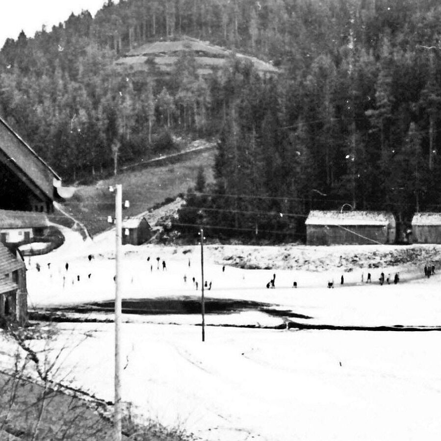 Schlittschuh Bachwiese 1