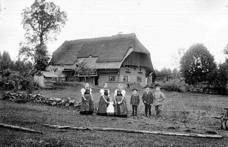 Alte Schwarzwaldhöfe 05