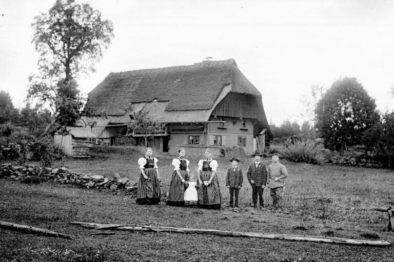 Alte Schwarzwaldhöfe 05