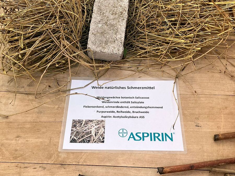 2025 Korbmachertag 12