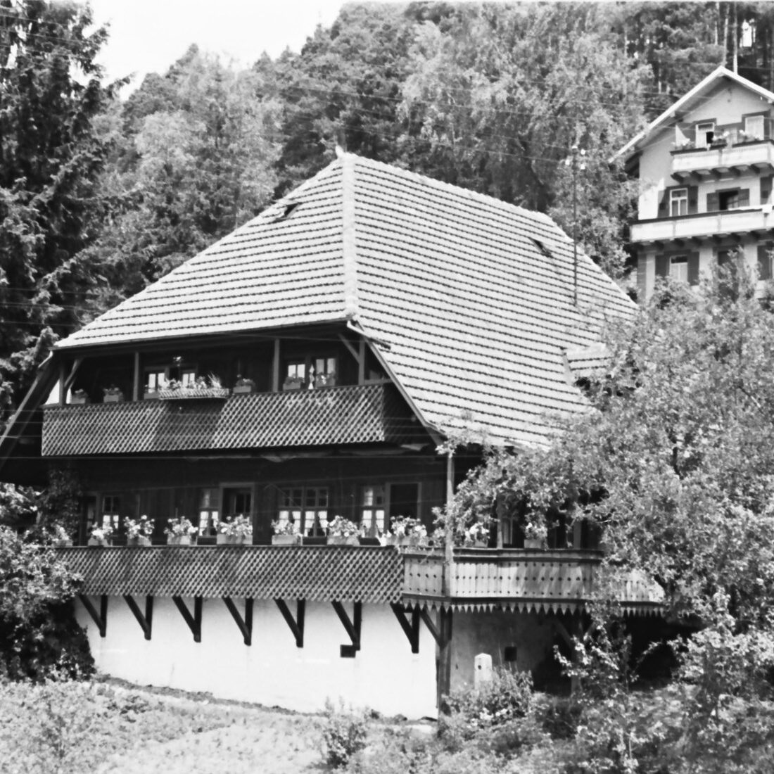 Haus Gockel und Haus Apholte Stöckle