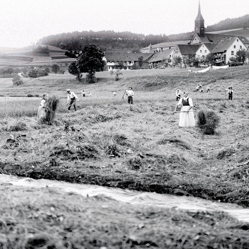 152 Heuernte auf der Bachwiese Doppelspalte