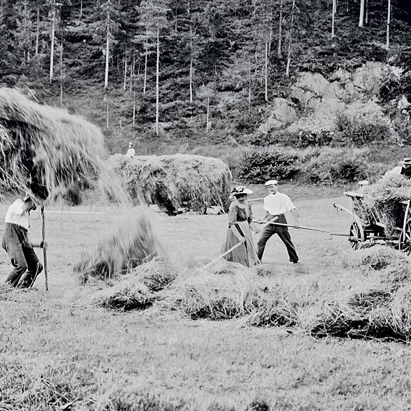 153 Heuladen Löwenwiese Doppelspalte