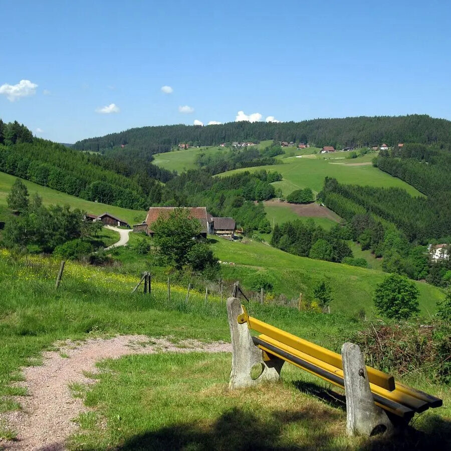 Aussichtspunkt Altenburg 1 UG