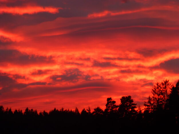 P1050661 (2) P1050661 (2)