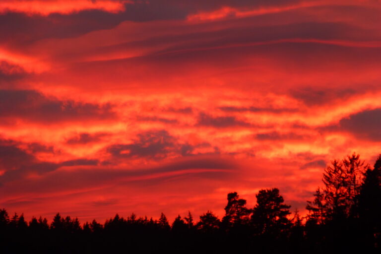 P1050661 (2) P1050661 (2)