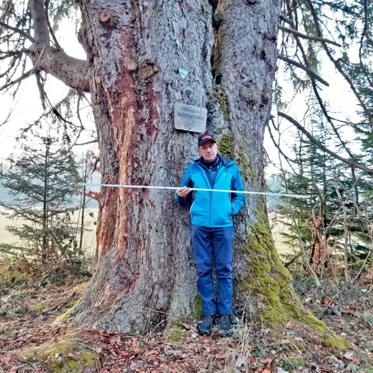 2026 Napoleonfichte Gerhard Moosmann 2026 Napoleonfichte Gerhard Moosmann