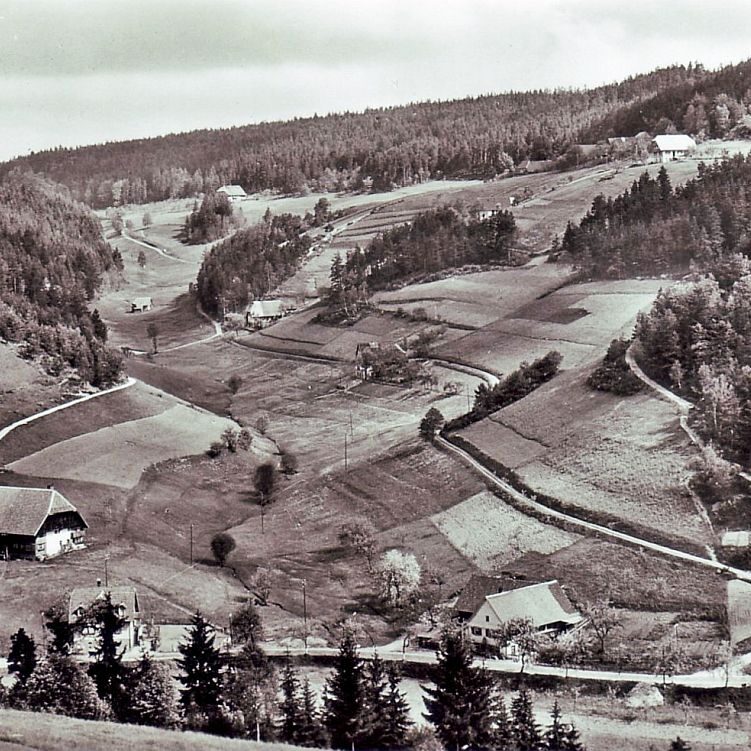 Schwimmbad Remsbach 3