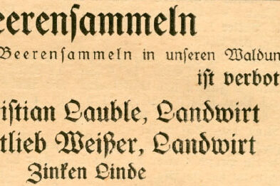 1930 07 04 TbrAnzeiger Heidelbeeren sammeln verboten Linde 1930 07 04 TbrAnzeiger Heidelbeeren sammeln verboten Linde