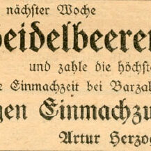 1930 07 04 TbrAnzeiger Kaufe Heidelbeeren Herzog