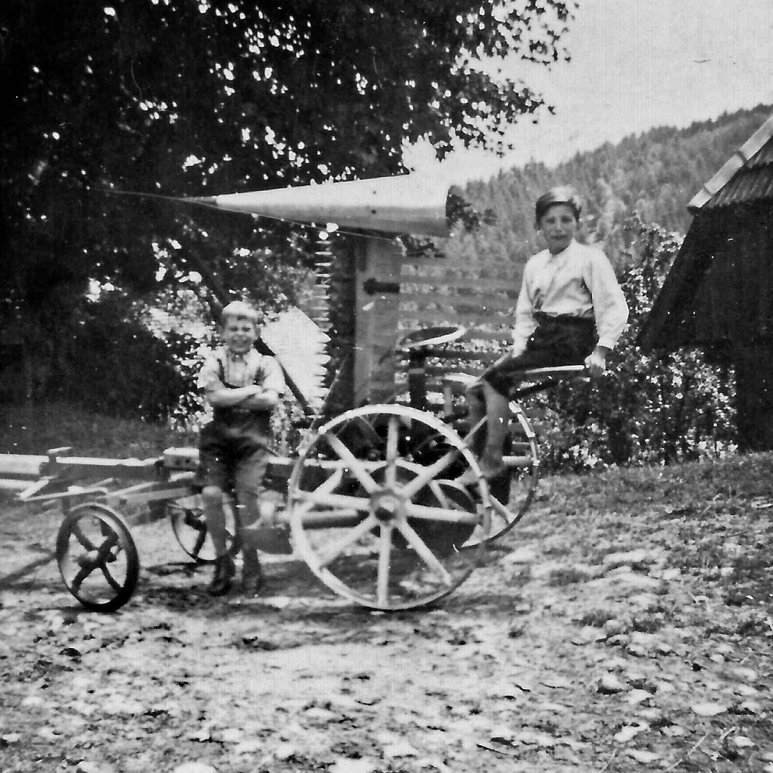 1950 Mähmaschine Alois Moosm