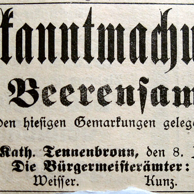 62f Heidelbeeren1911 BrigBote (106)