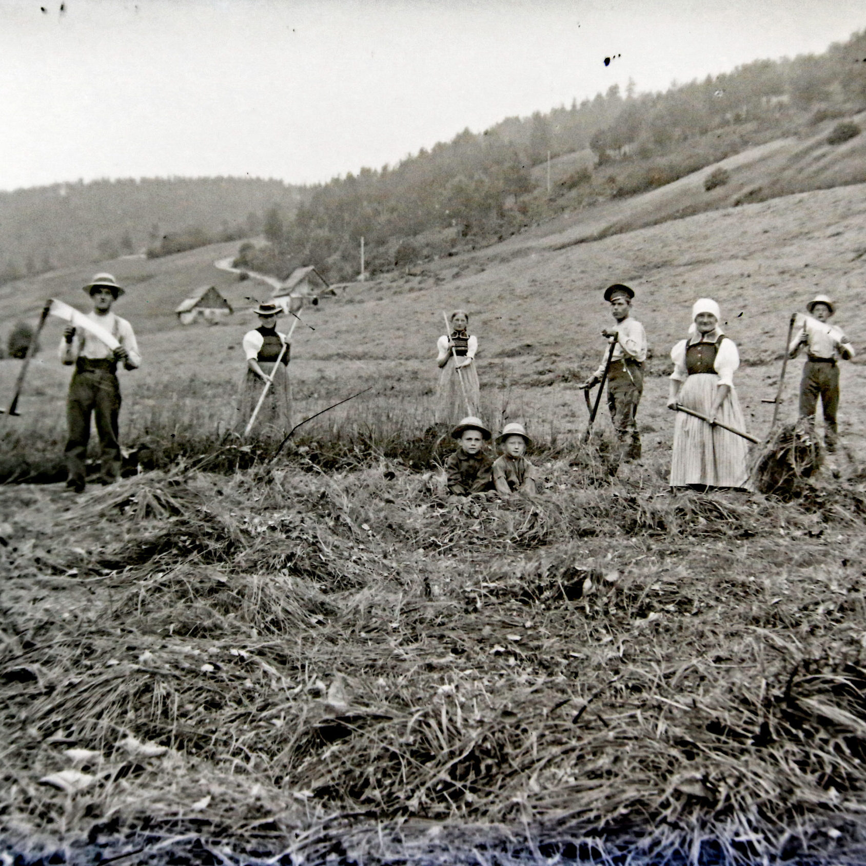 Bild 047 A K02 Gras mähen im Eichbach A71
